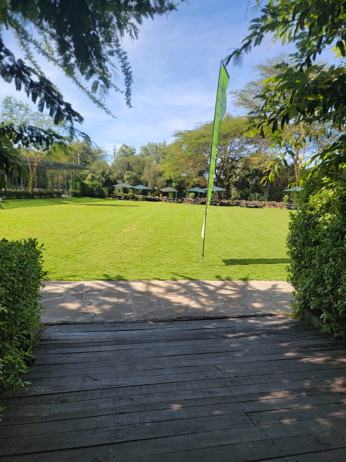 Team collaboration and culture